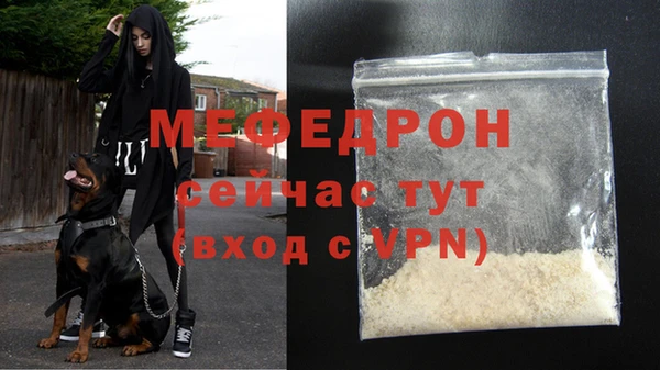 соль ск Тайга