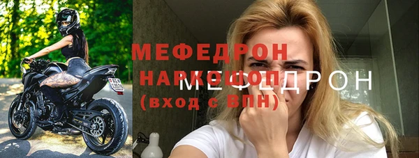 СК Алексин