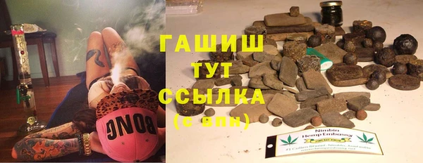 СК Алексин