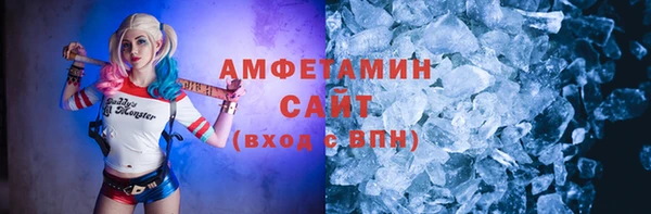СК Алексин