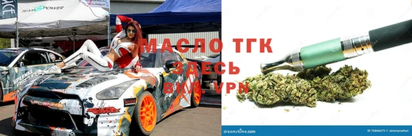 соль ск Тайга